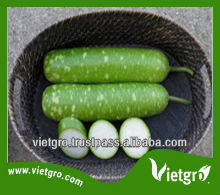 VSV SERVICE TRADING COMPANY LIMITED